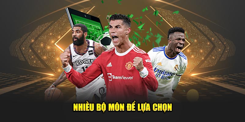 Nhiều bộ môn để lựa chọn