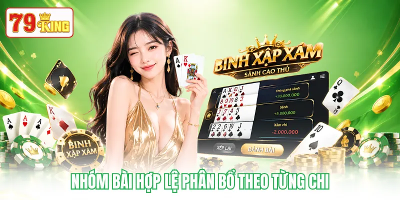 Nhóm bài hợp lệ phân bổ theo từng chi